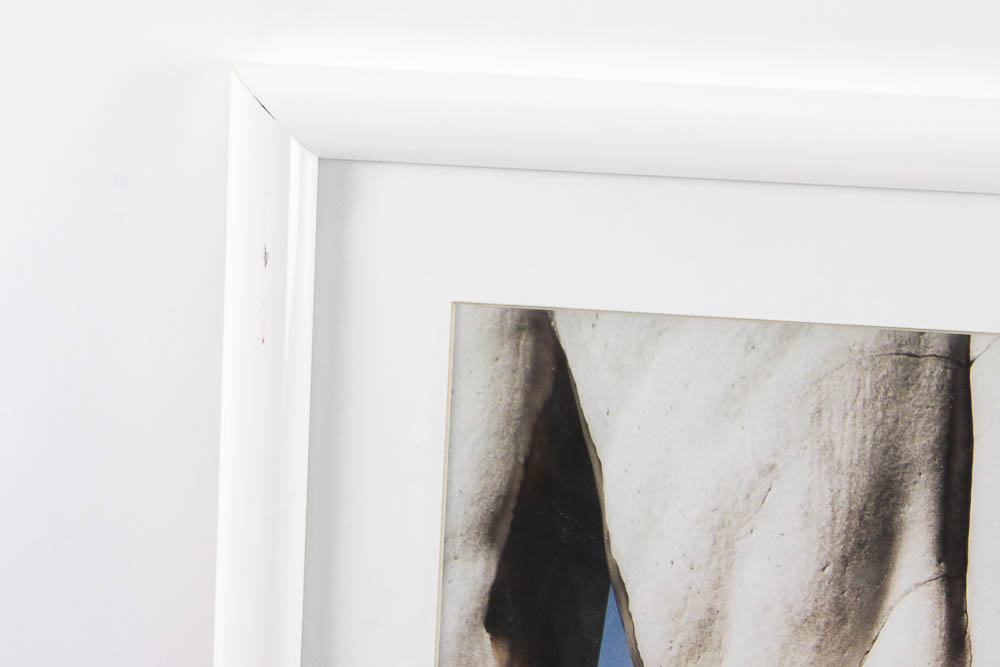 Framed Photograph "Hercules & Cacus" by Dr. David Shander