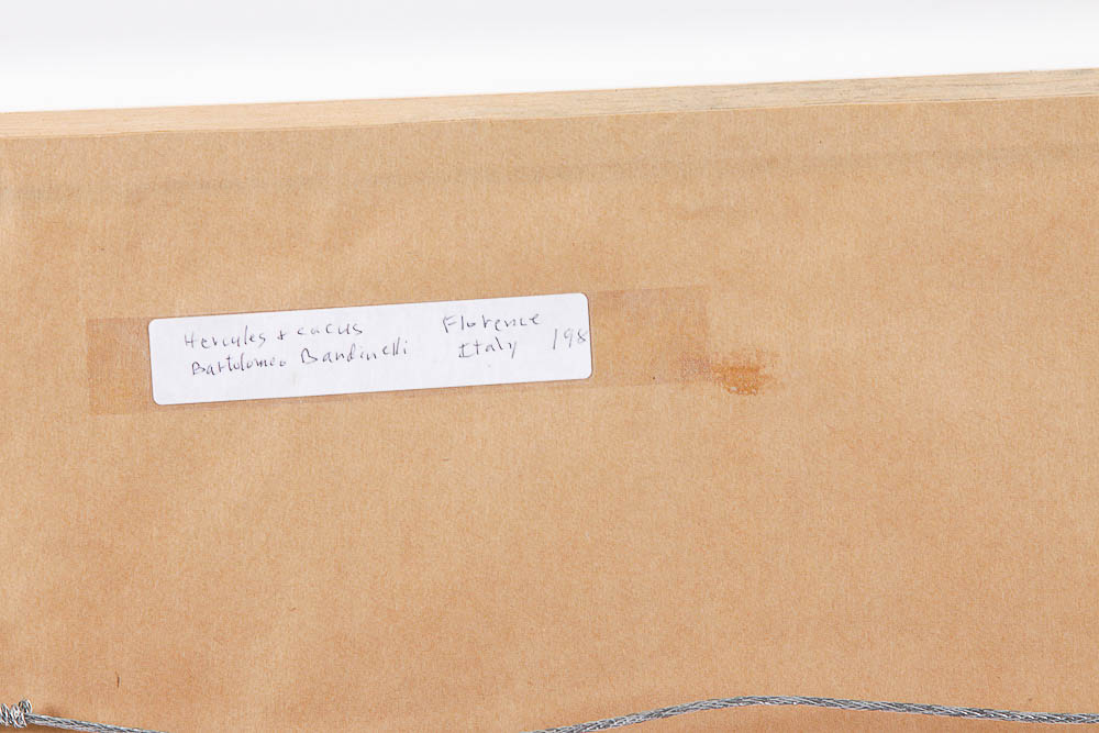 Framed Photograph "Hercules & Cacus" by Dr. David Shander