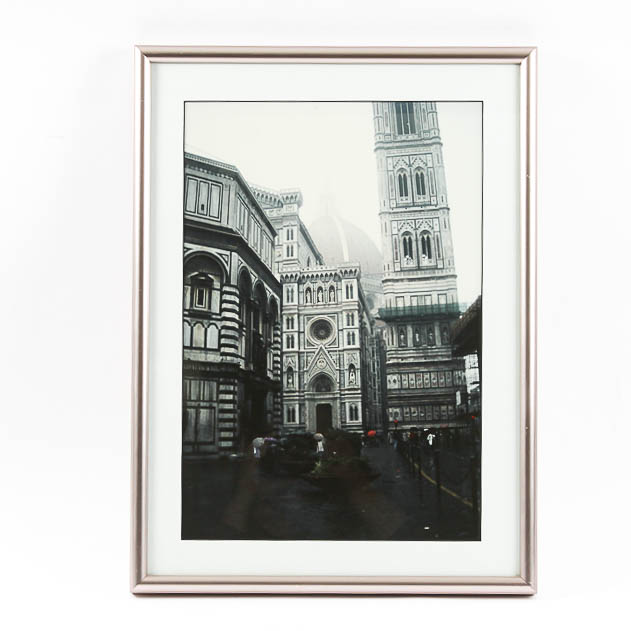 Framed Photograph by Dr. David Shander