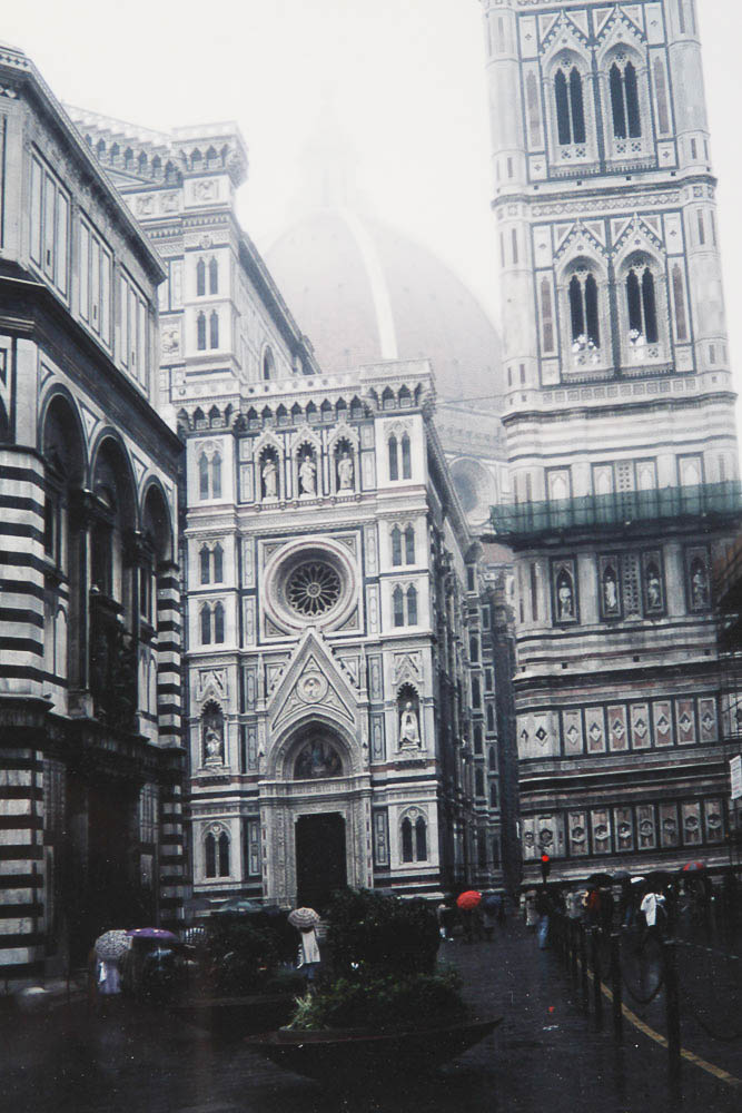 Framed Photograph by Dr. David Shander