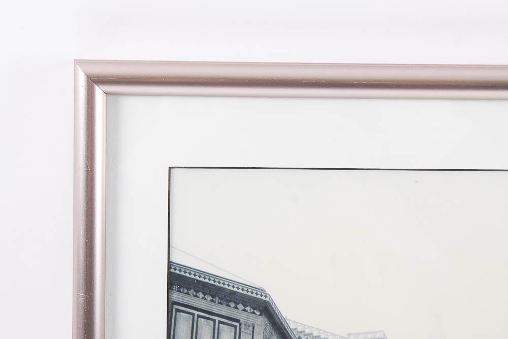 Framed Photograph by Dr. David Shander