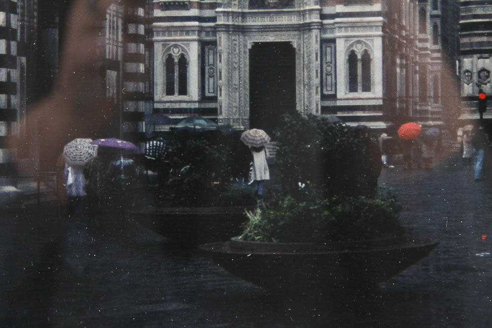 Framed Photograph by Dr. David Shander