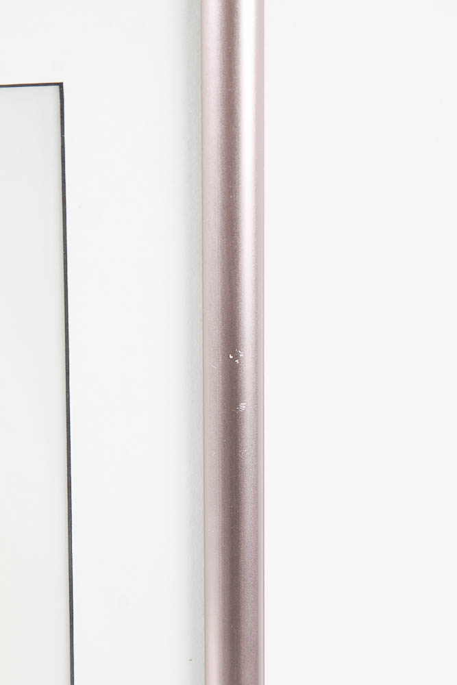 Framed Photograph by Dr. David Shander