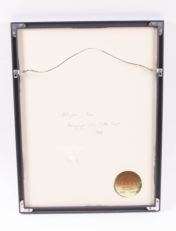 Dr. David Shander Color Photograph of Peruvian Child