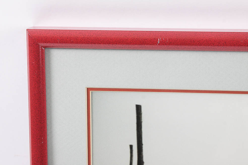 Dr. David Shander Photograph "Gondolas, Grand Canal, Venice"