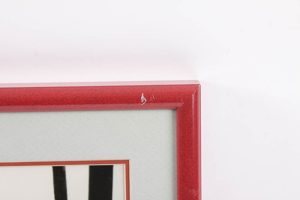 Dr. David Shander Photograph "Gondolas, Grand Canal, Venice"