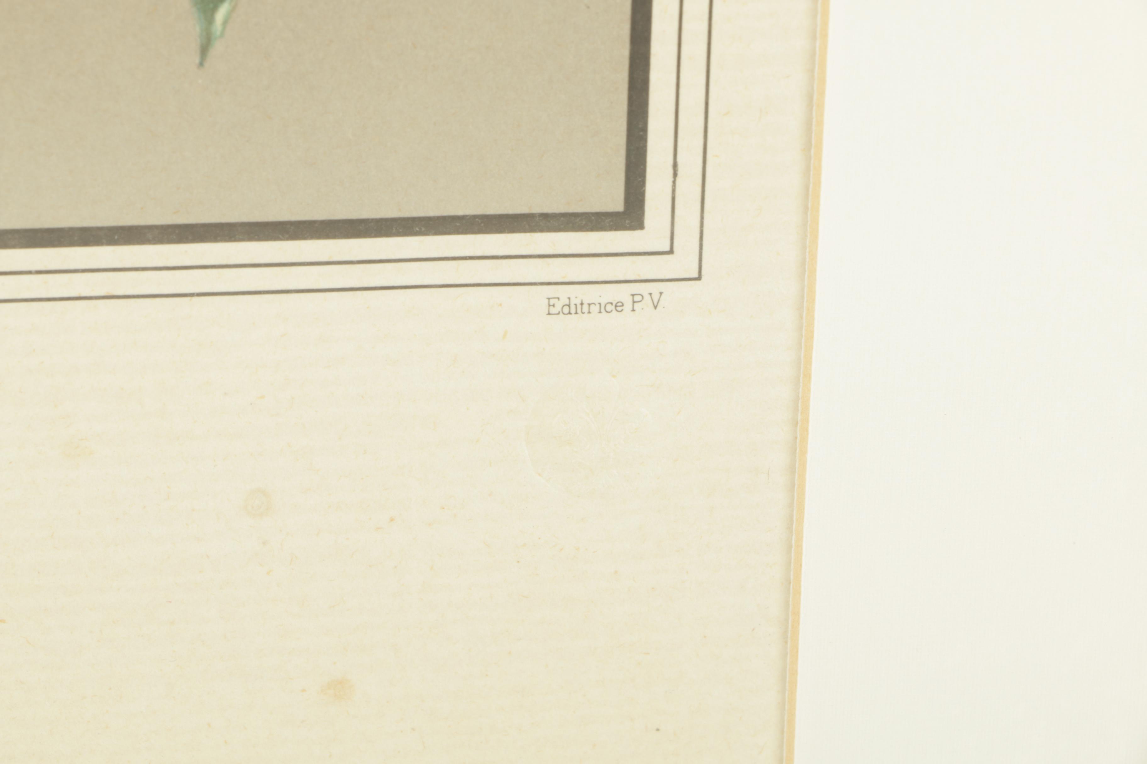 Lithograph After Joseph Nigg Floral Still Life