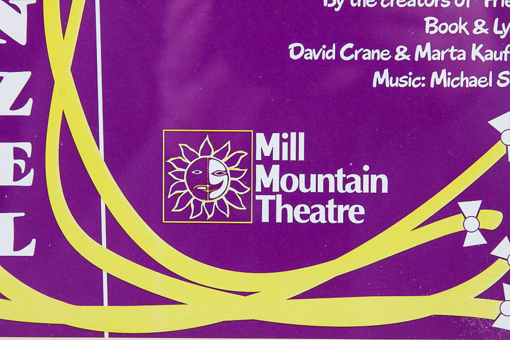 Poster for the Mill Mountain Theatre's Production of Rapunzel