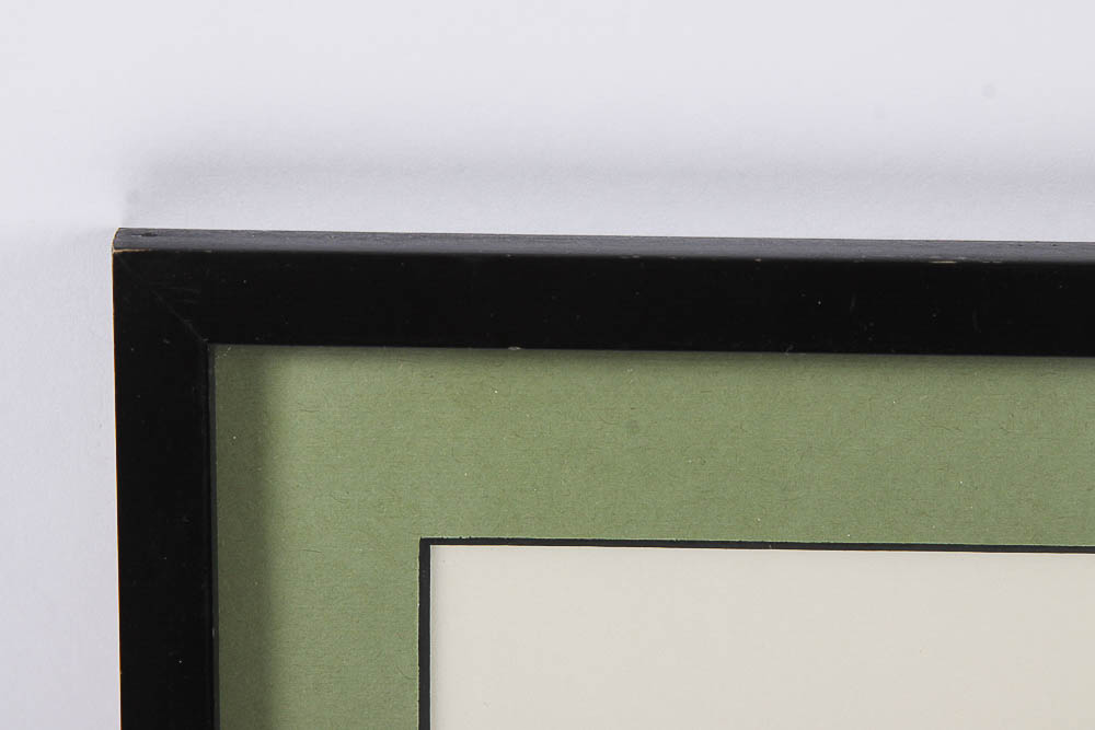 Reproduction Print After J. Gould of Cockatoos