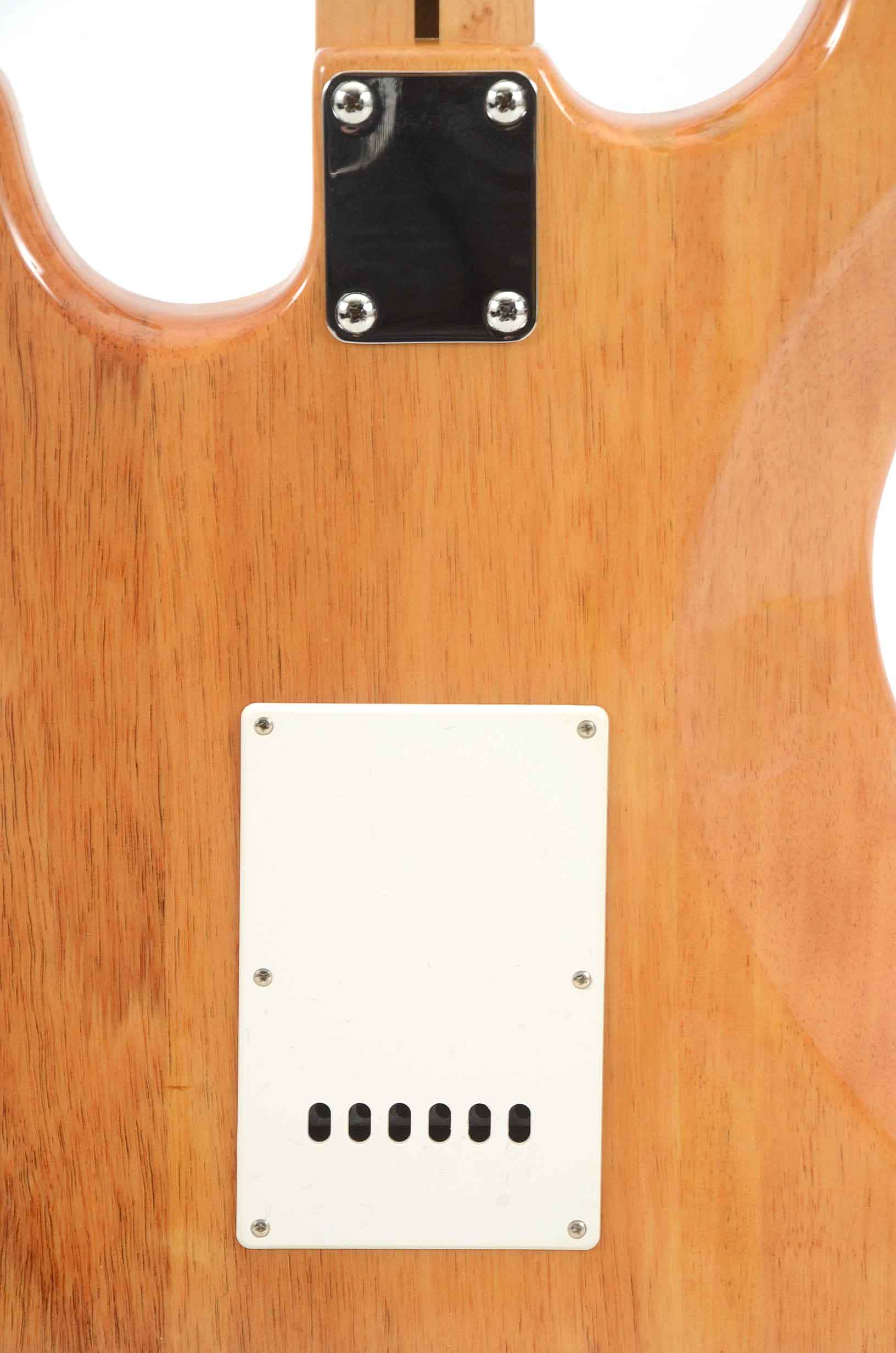 Johnson Electric Guitar with Case