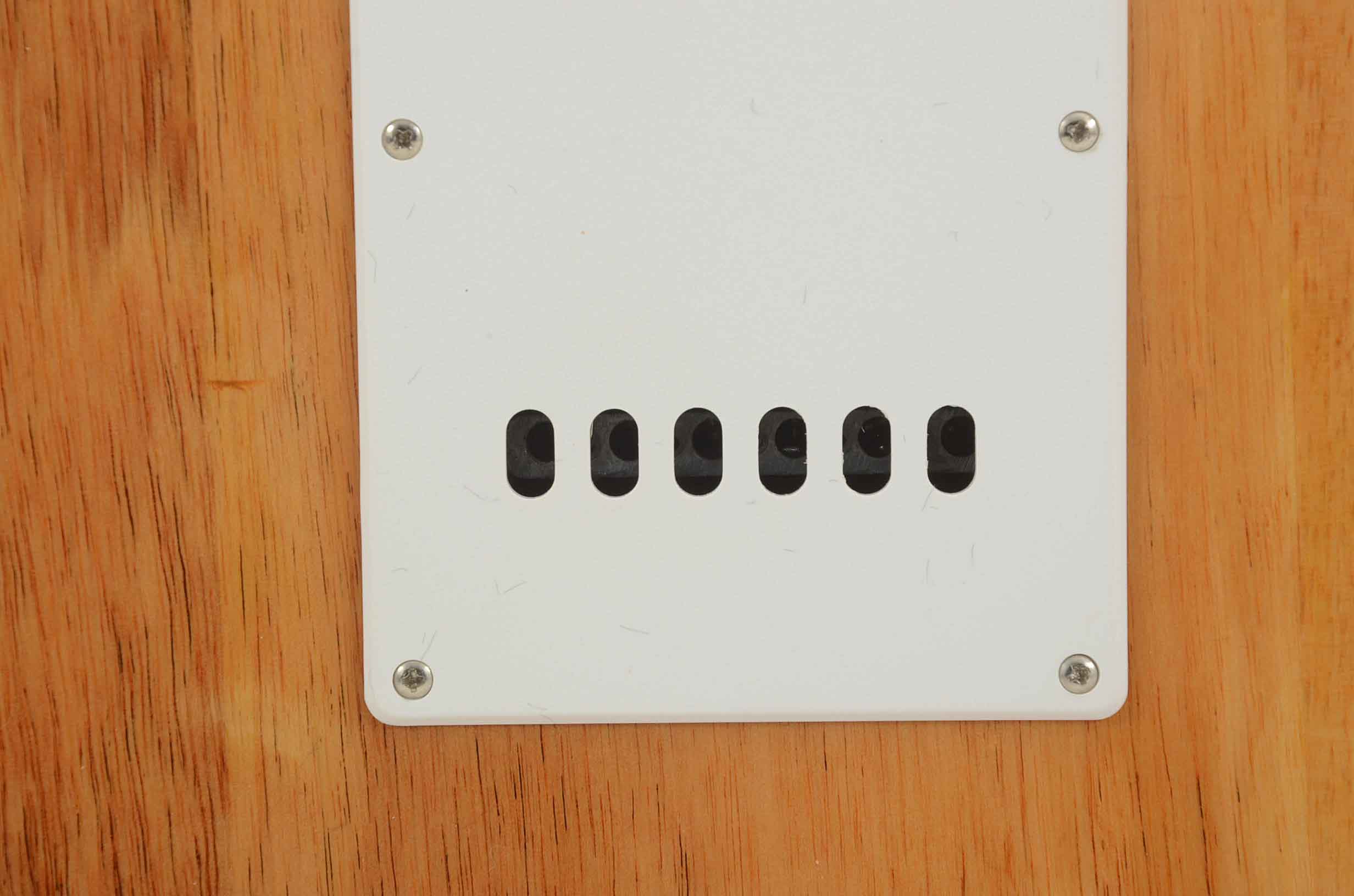 Johnson Electric Guitar with Case