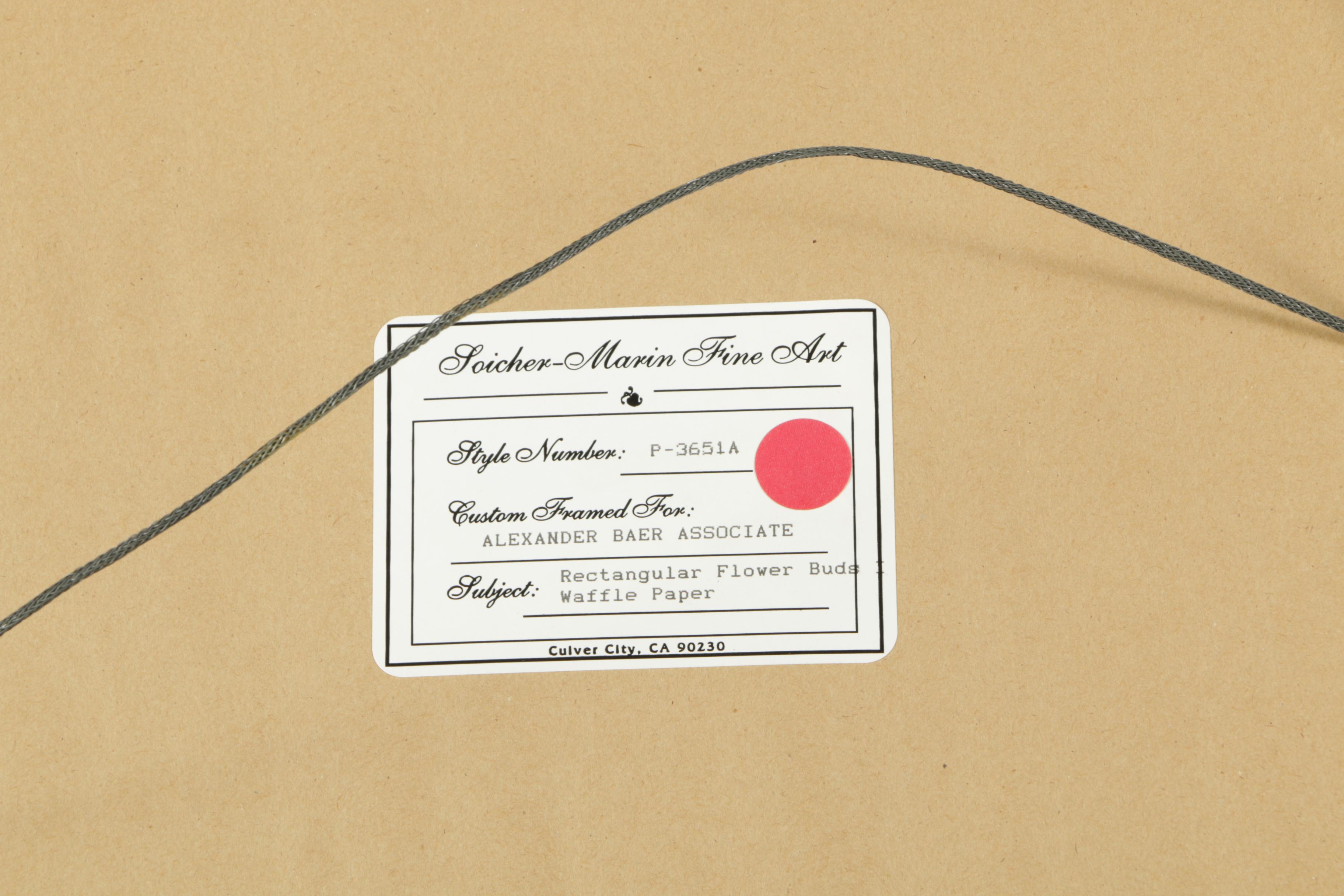 Color Lithograph on Paper of a Botanical Illustration