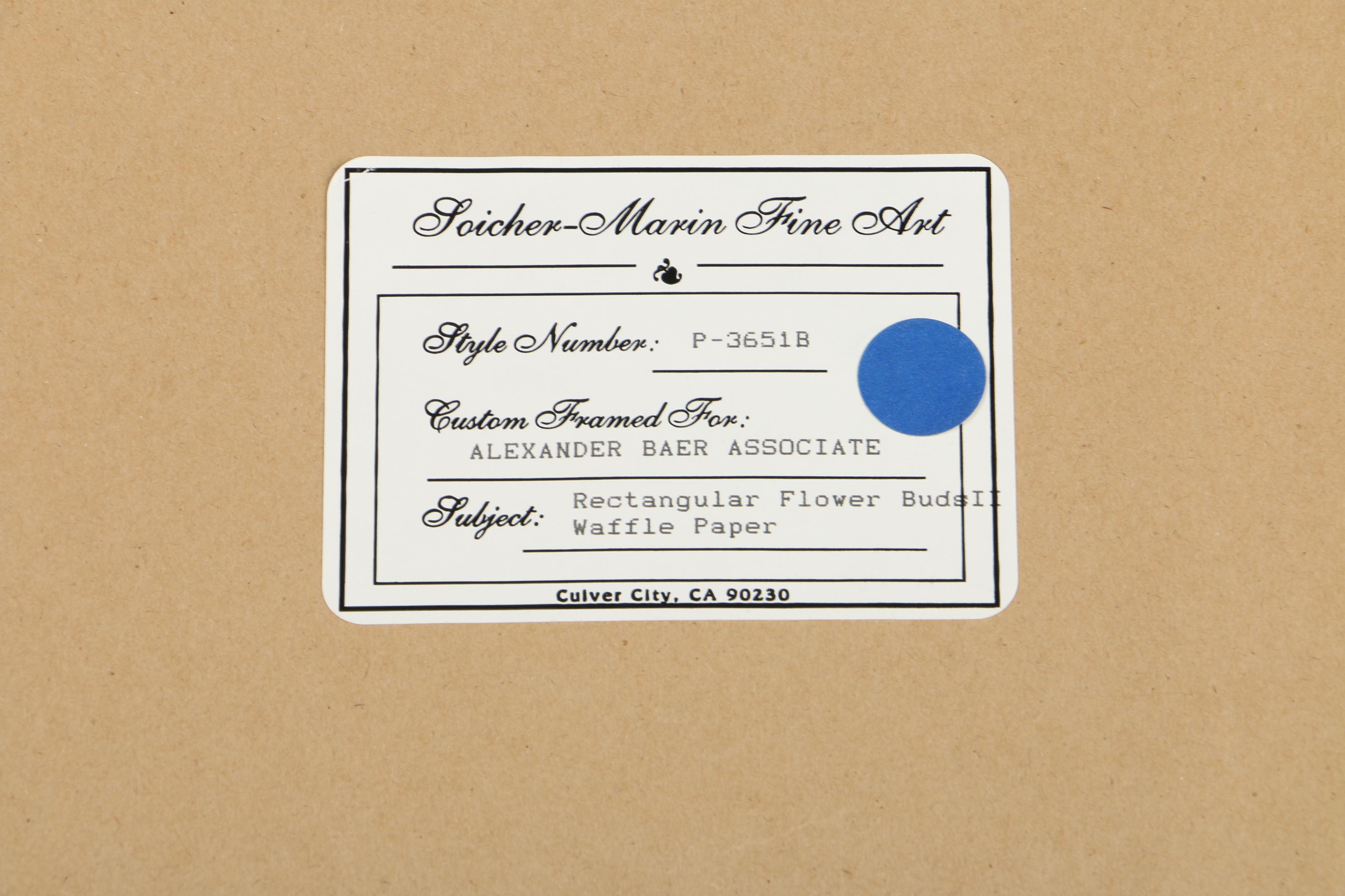 Botanical Chromolithograph on Paper