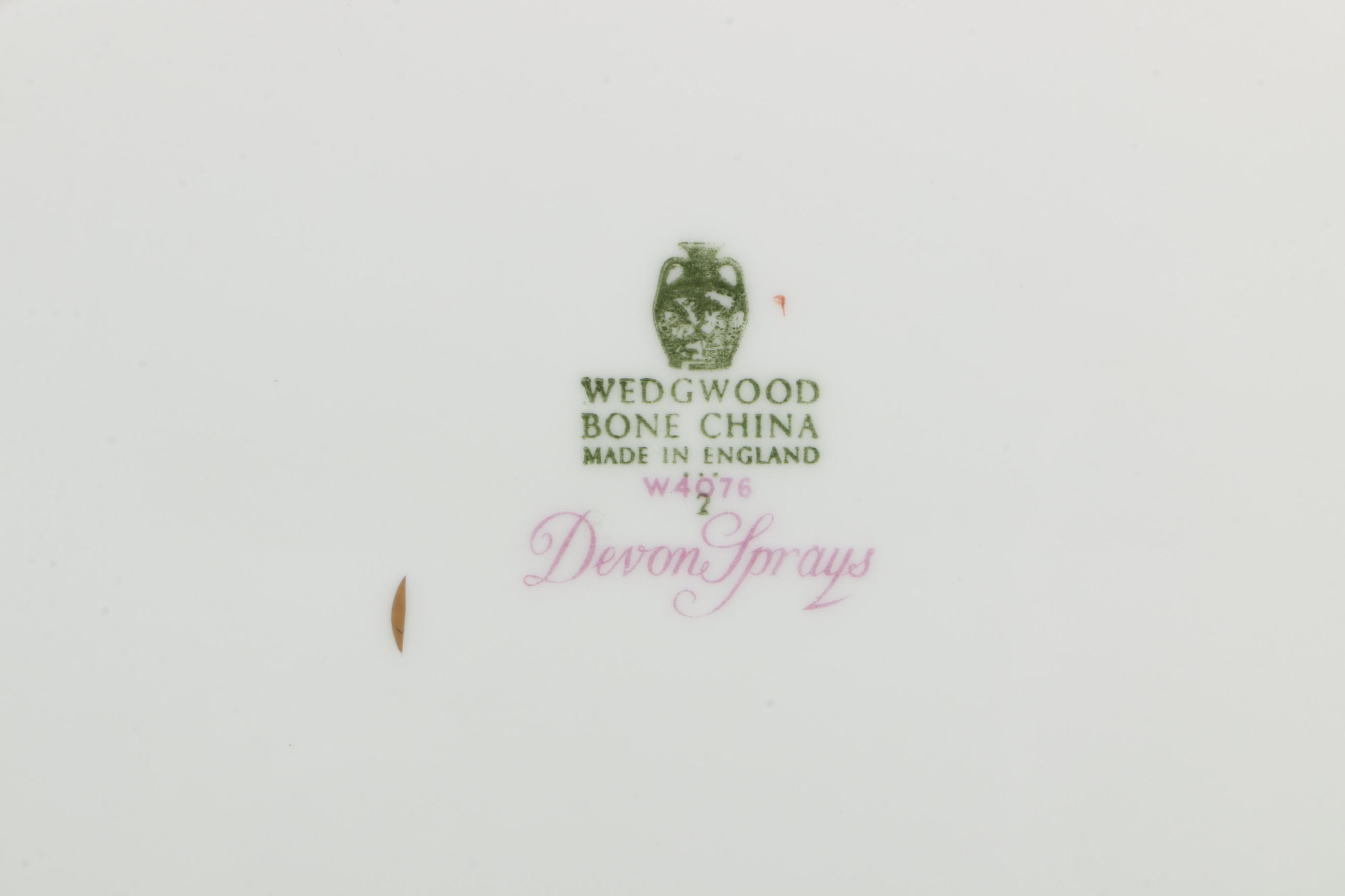 Vintage Wedgwood "Devon Sprays" Bone China Tableware