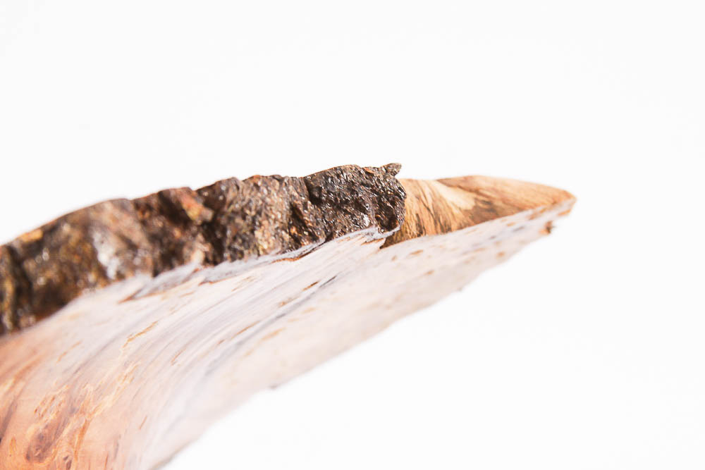 Silver Beech Burr Bowl Signed by Artist