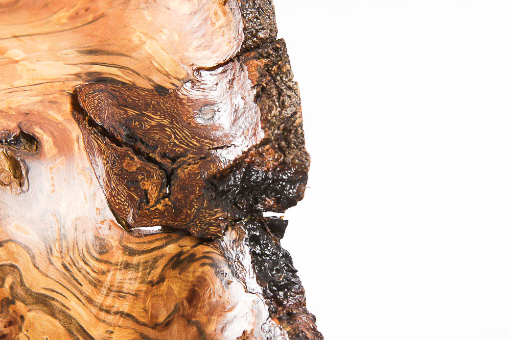 Silver Beech Burr Bowl Signed by Artist