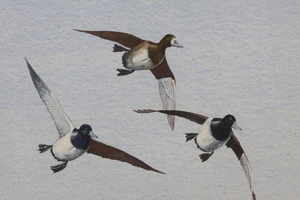 Bruce Dines Watercolor Painting on Paper of Ducks