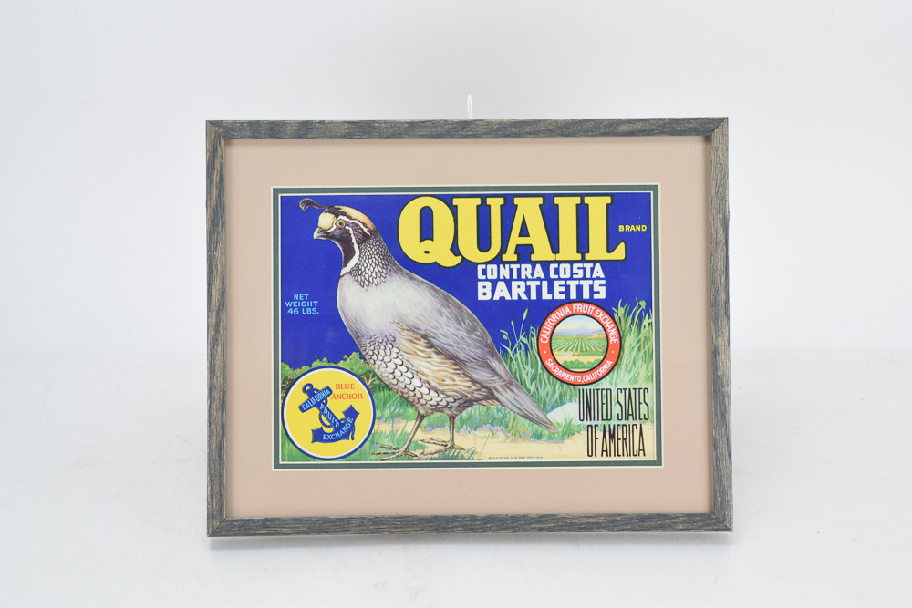 Mid-Century "Quail Brand" Chromolithograph Fruit Crate Label