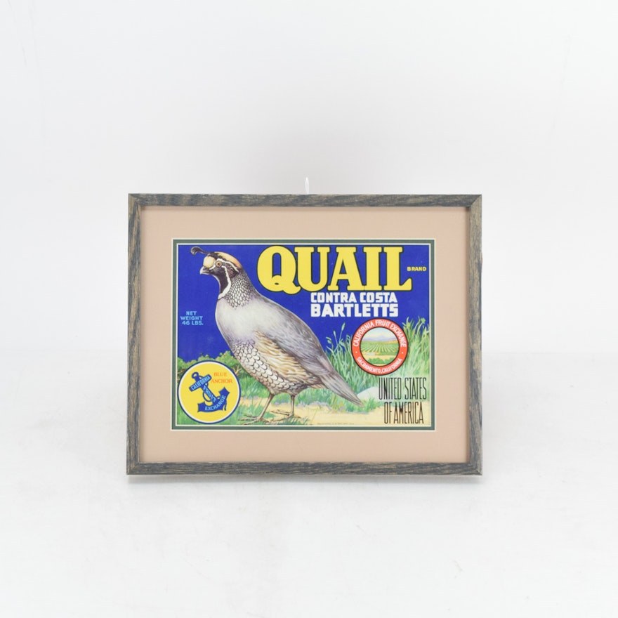 Mid-Century "Quail Brand" Chromolithograph Fruit Crate Label