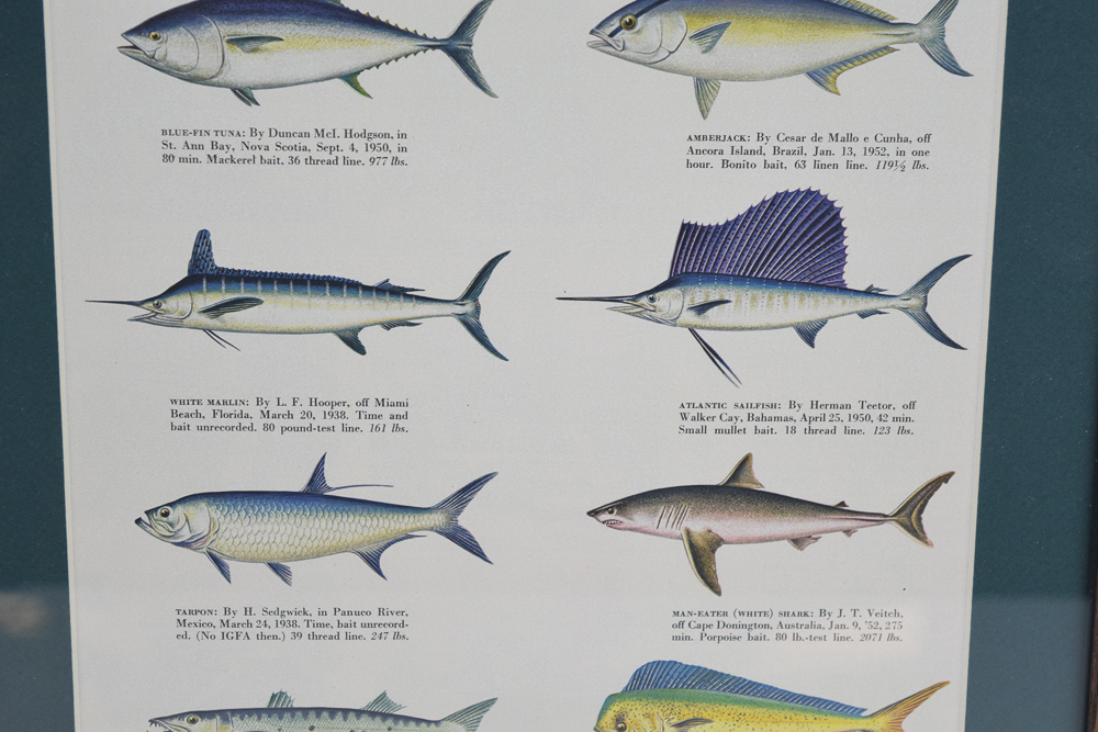 Page from 1952 "Esquire" Featuring "The 10 Greatest Catches of All Time"