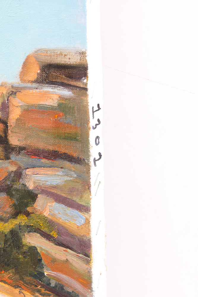 Judge Ed Hummer Oil Painting on Canvas "Rocky Outcrop"