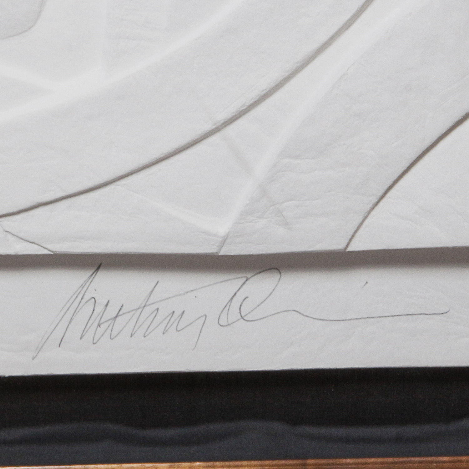 Anthony Quinn Limited Edition Cast Paper Relief "Bella Donna"