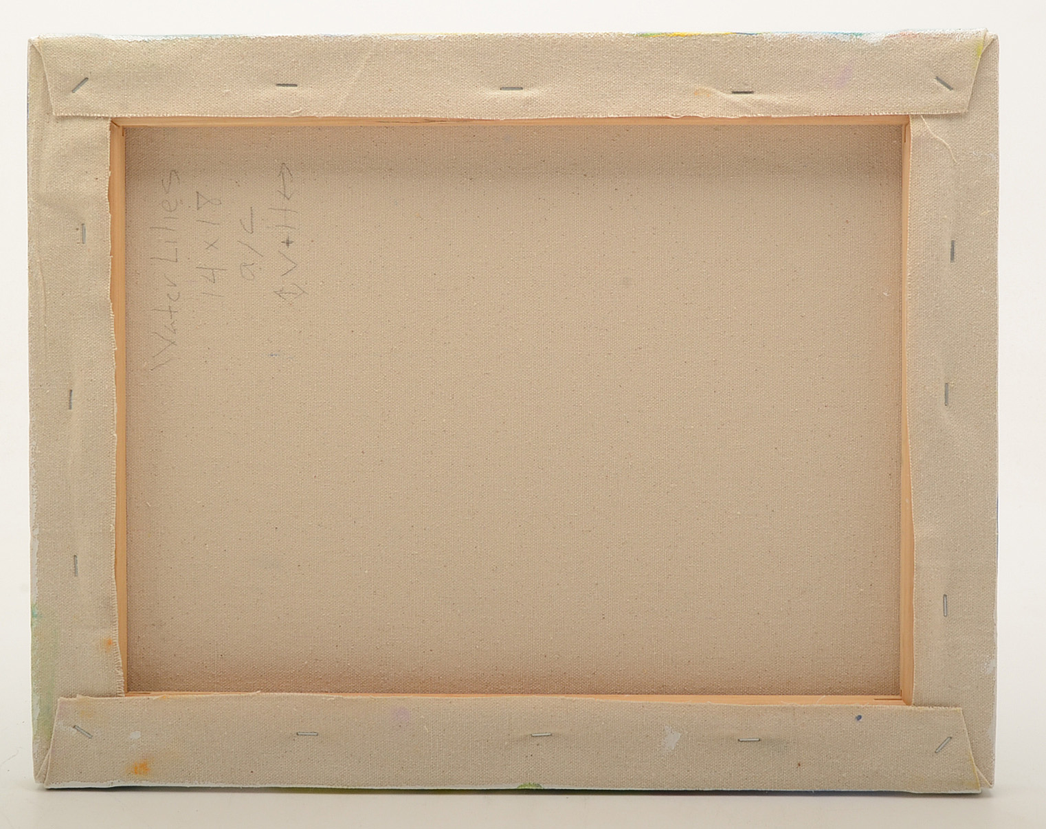 Lisa Schafer Acrylic Painting on Canvas "Water Lilies"