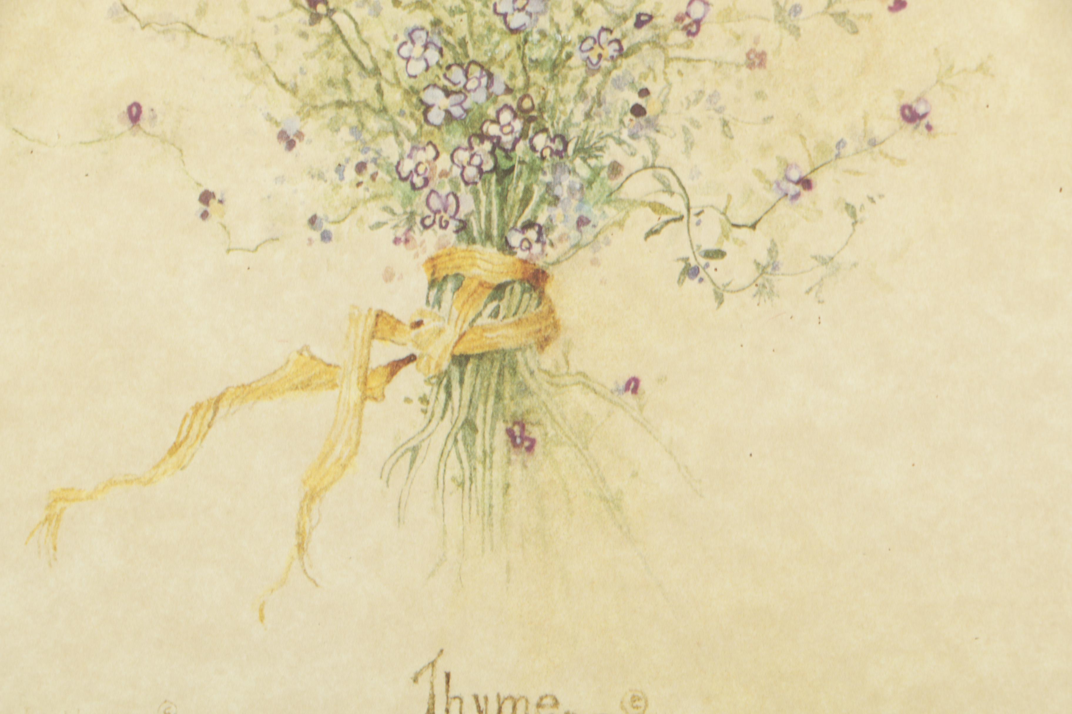 Offset Lithographs on Paper After Carolyn Shores Wright of Herbs