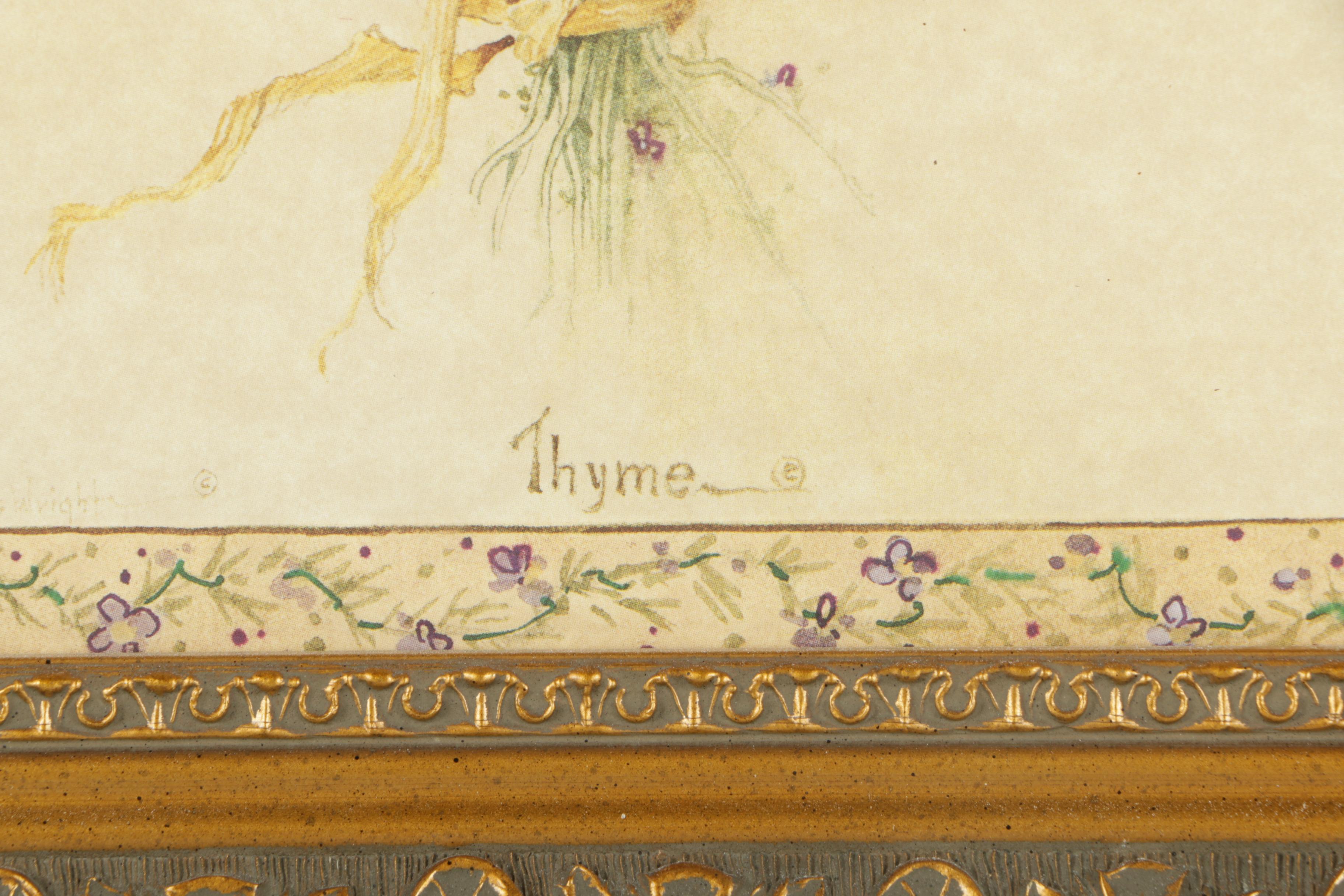 Offset Lithographs on Paper After Carolyn Shores Wright of Herbs