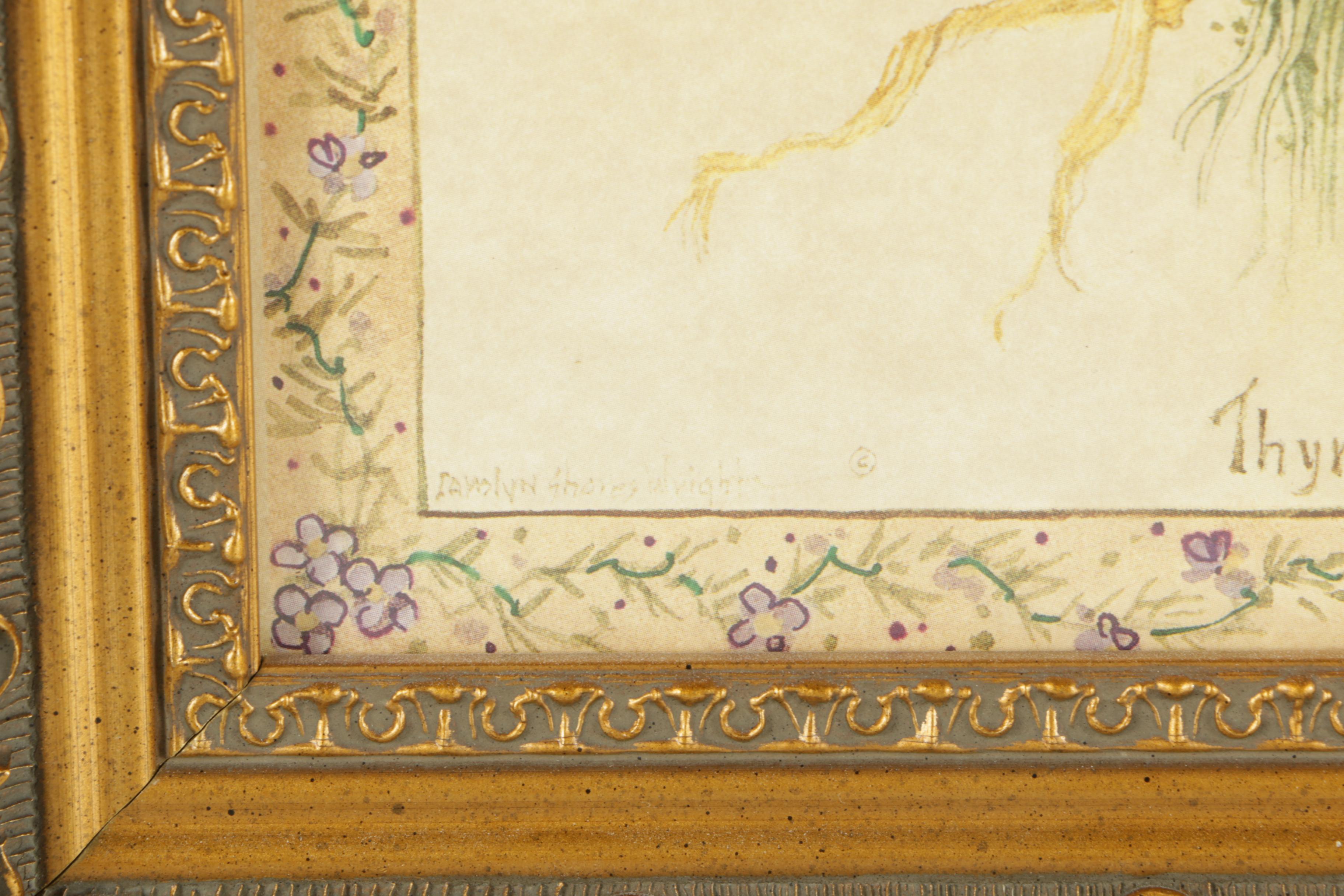 Offset Lithographs on Paper After Carolyn Shores Wright of Herbs