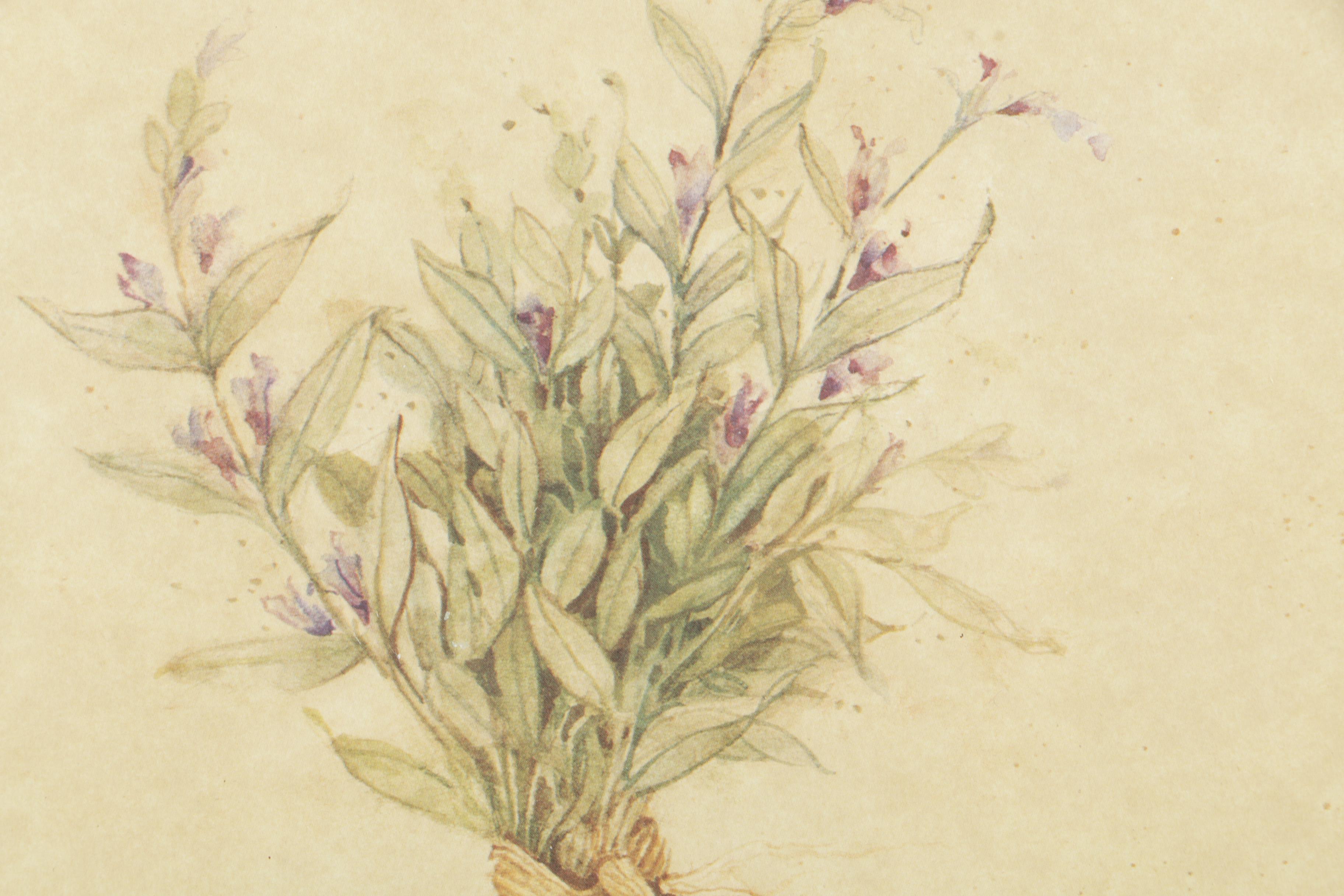 Offset Lithographs on Paper After Carolyn Shores Wright of Herbs