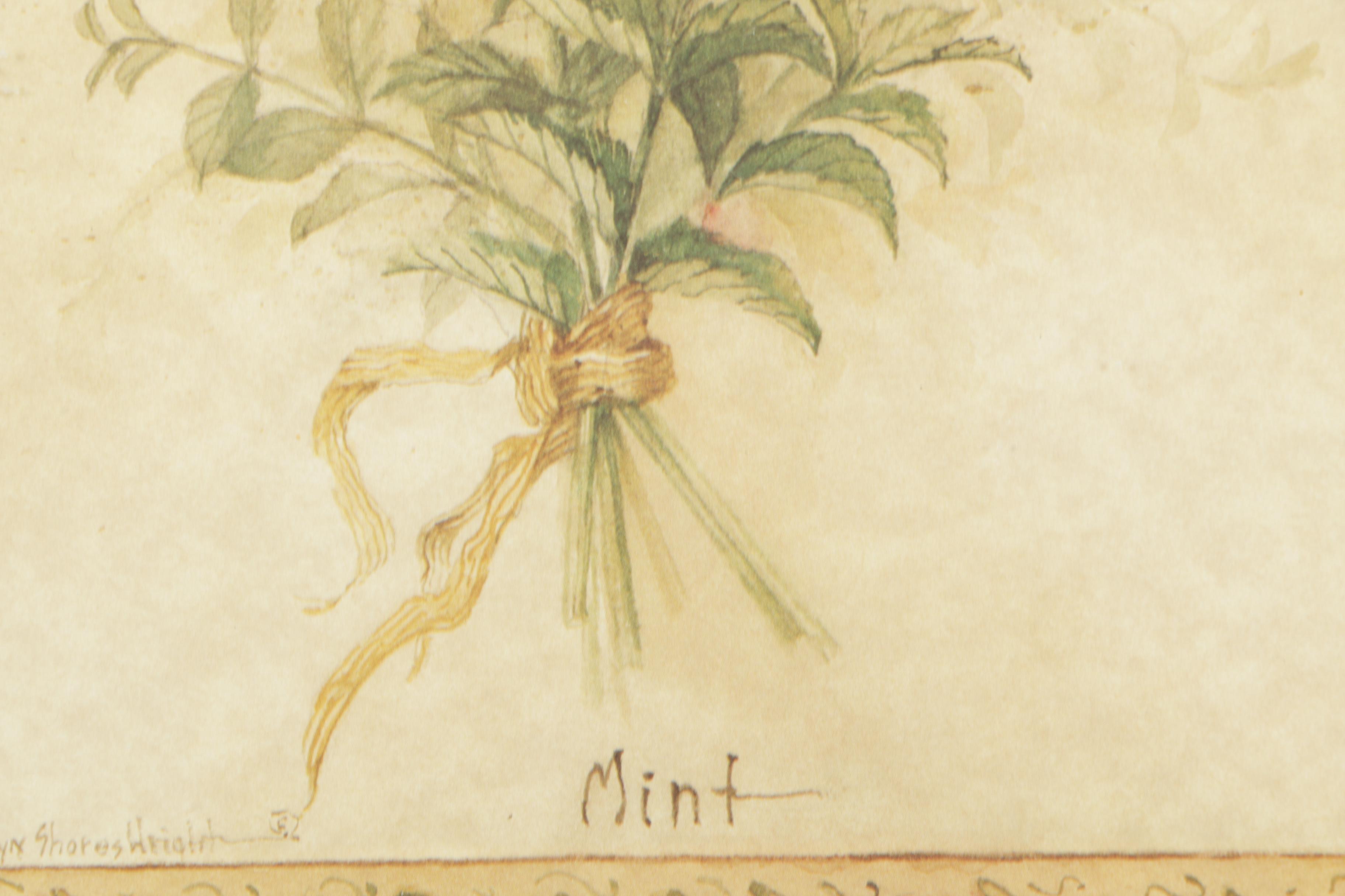 Offset Lithographs on Paper After Carolyn Shores Wright of Herbs