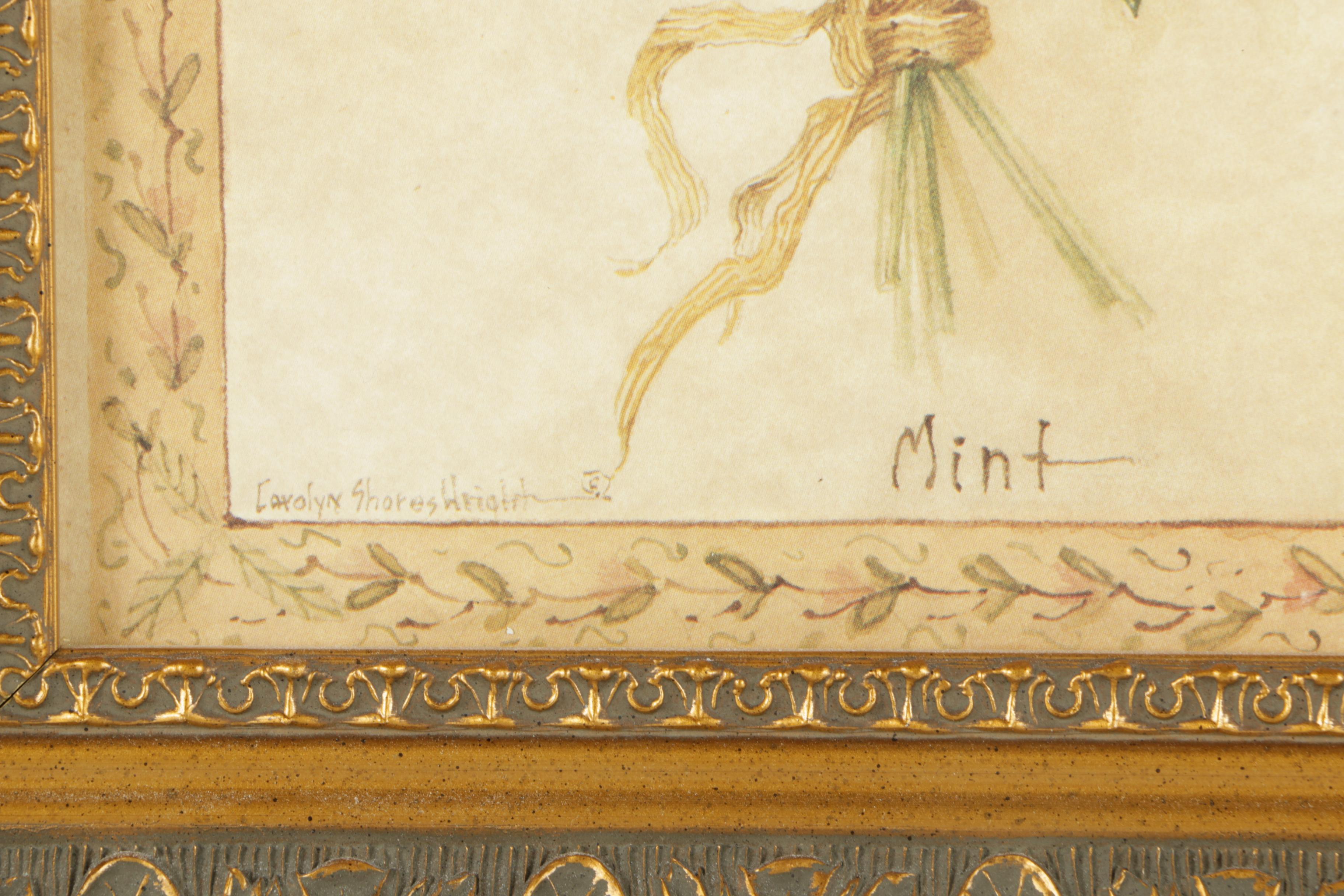 Offset Lithographs on Paper After Carolyn Shores Wright of Herbs