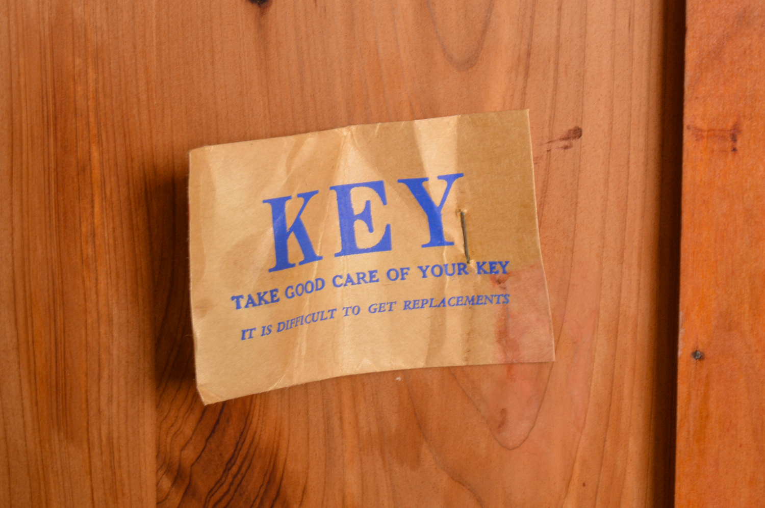 Vintage "Bluebird" Cedar Chest by Dillingham Manufacturing