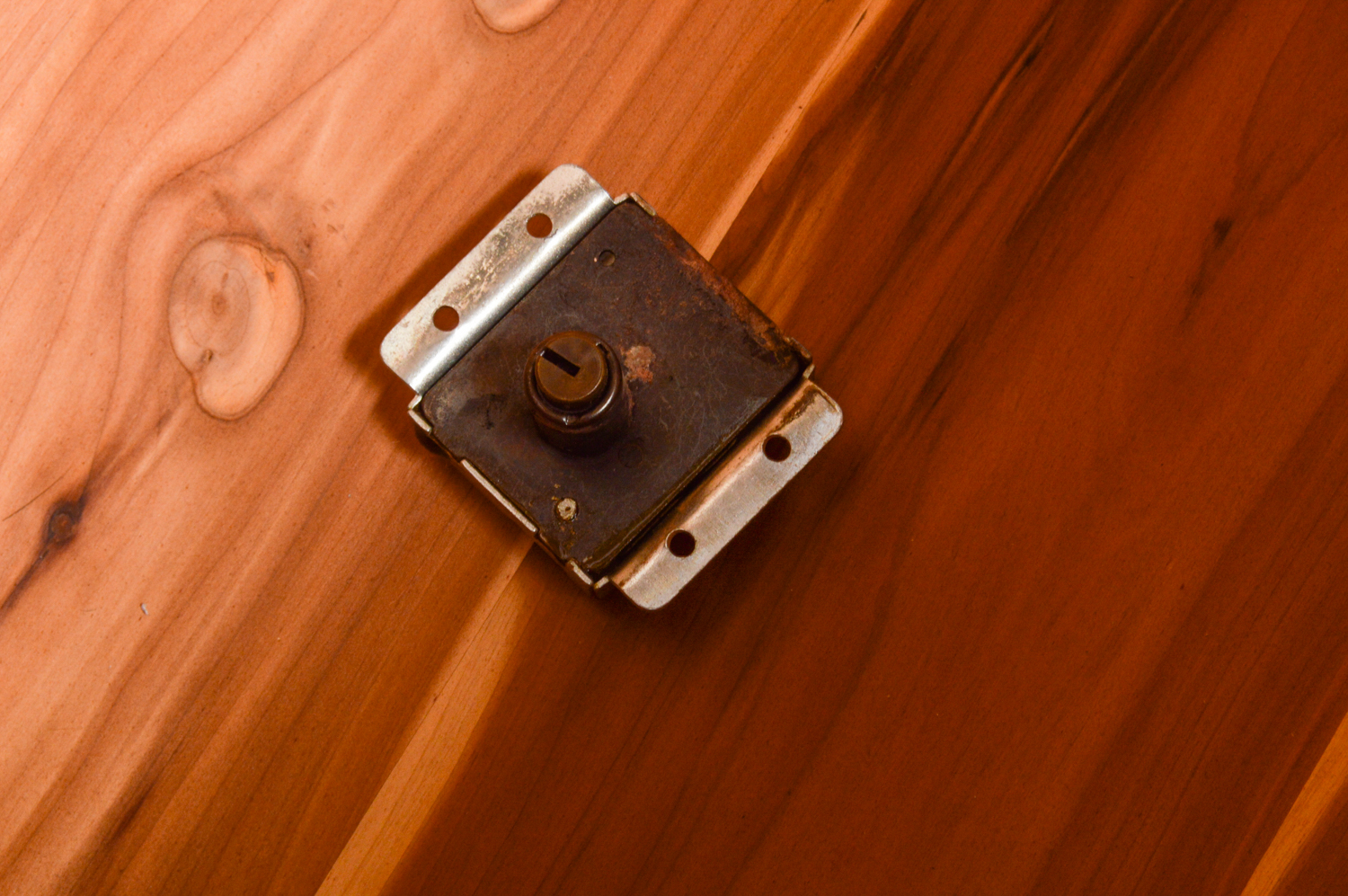 Vintage "Bluebird" Cedar Chest by Dillingham Manufacturing