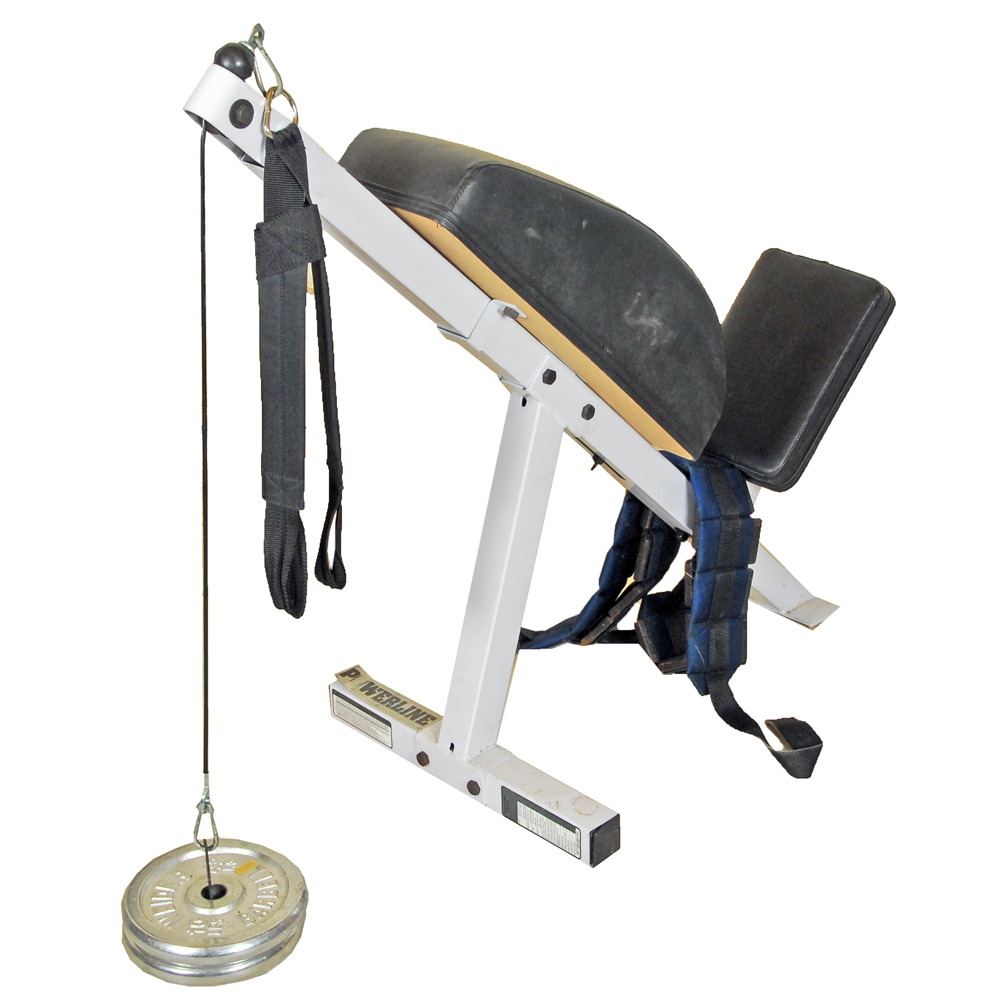 Powerline Weightlifting Back Machine