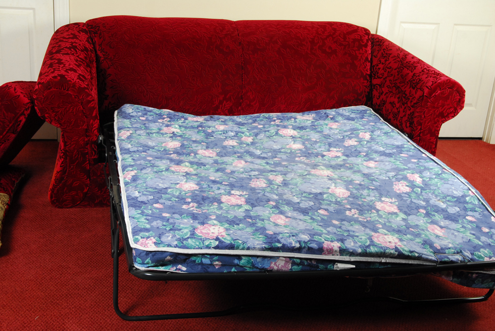 Patterned Velvet Upholstered Sofa Bed