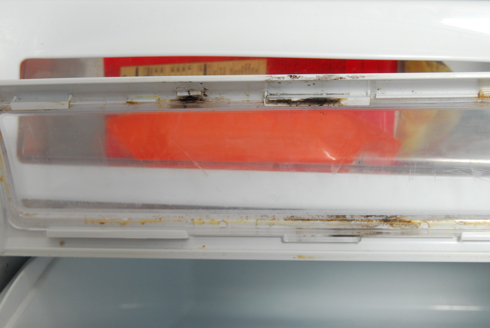 LG French Door Refrigerator