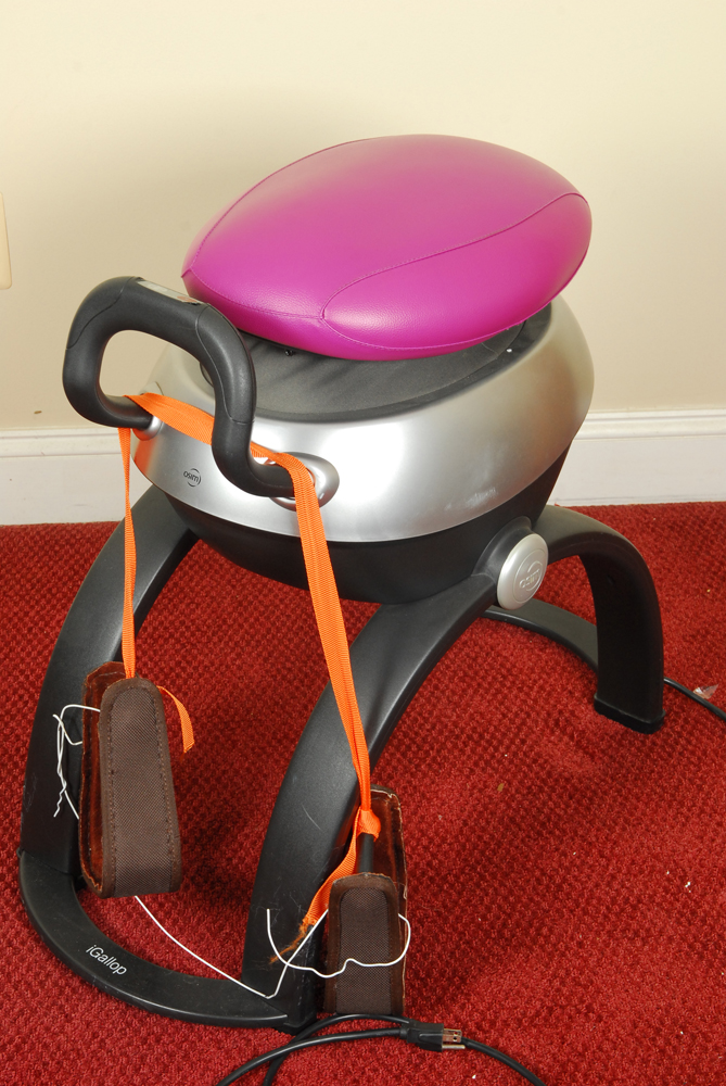 Kincade All Purpose English Saddle and iGallop