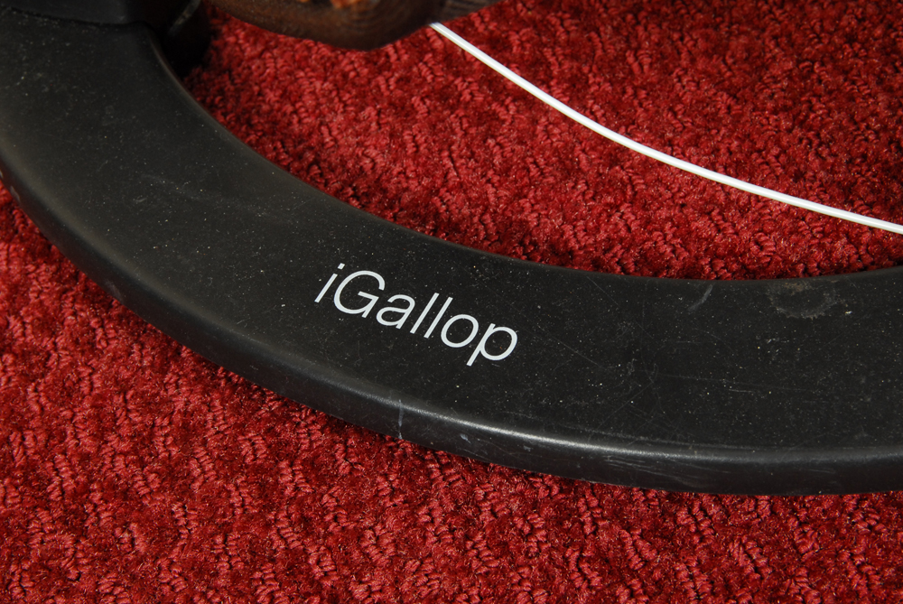 Kincade All Purpose English Saddle and iGallop