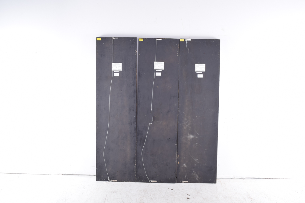 Grace Feyock Acrylic on Canvas Triptych "Hot as Fire"