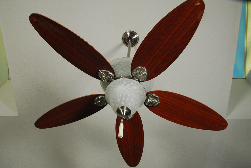Five Blade Ceiling Fan with Lighting
