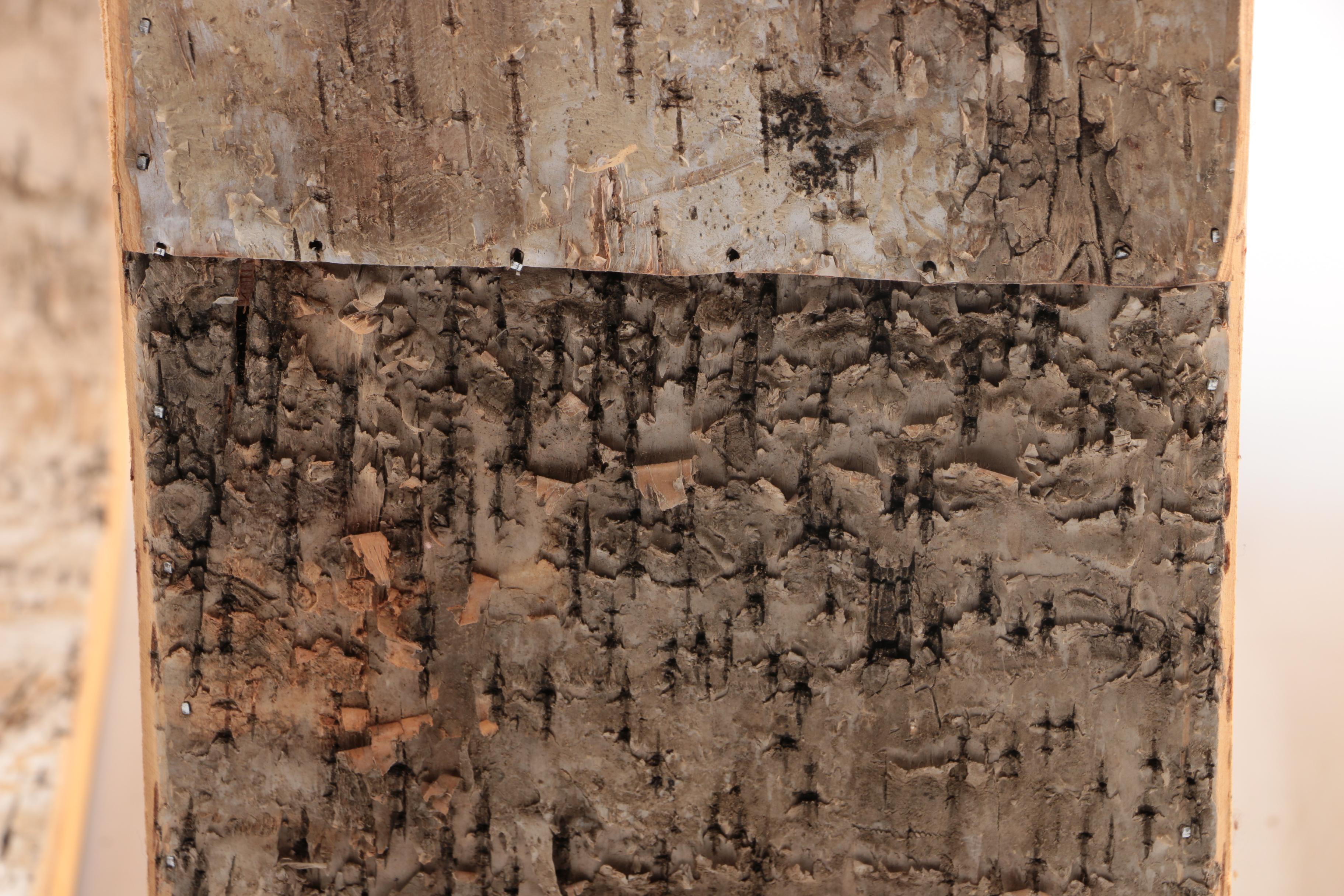 Rustic Wooden Wall Shelves