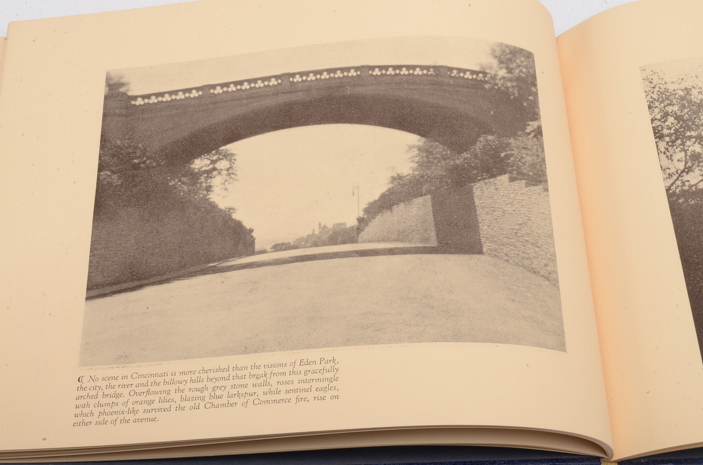 Publication of the Paul Brio Photography