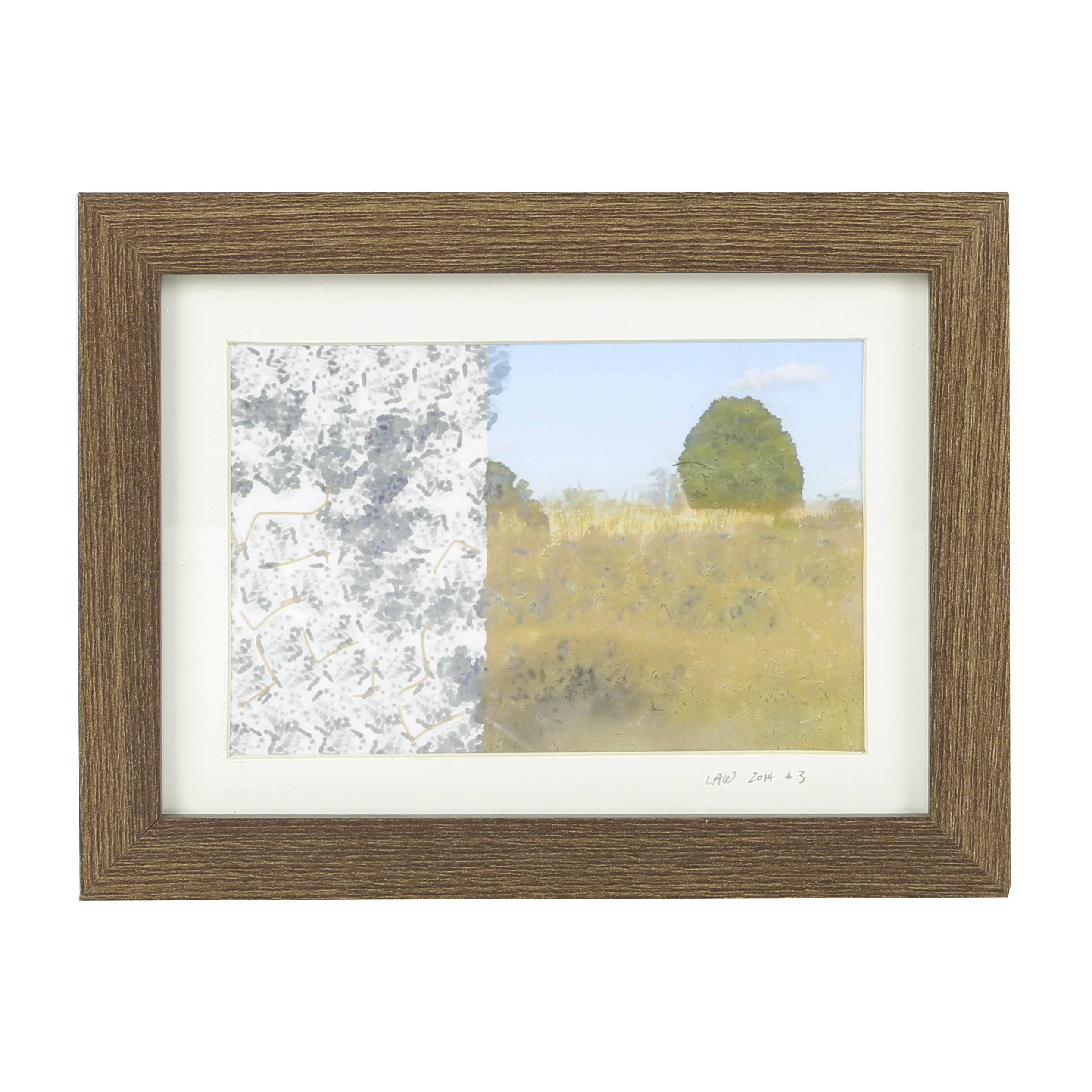 Lib Willard App-Enhanced Photograph "Field"