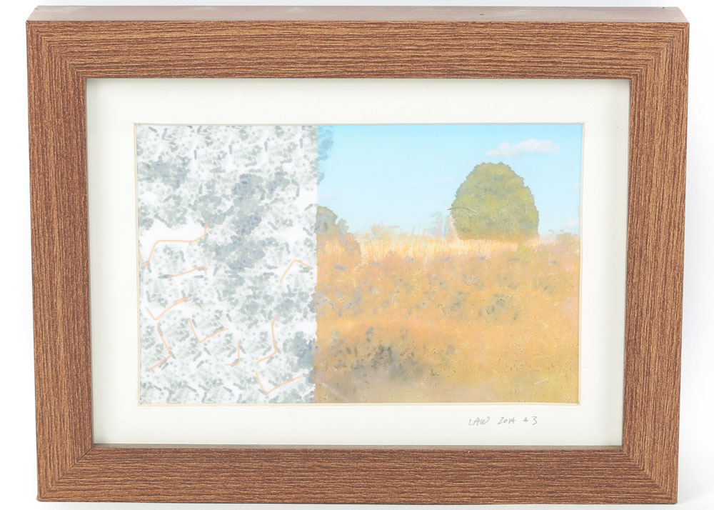 Lib Willard App-Enhanced Photograph "Field"