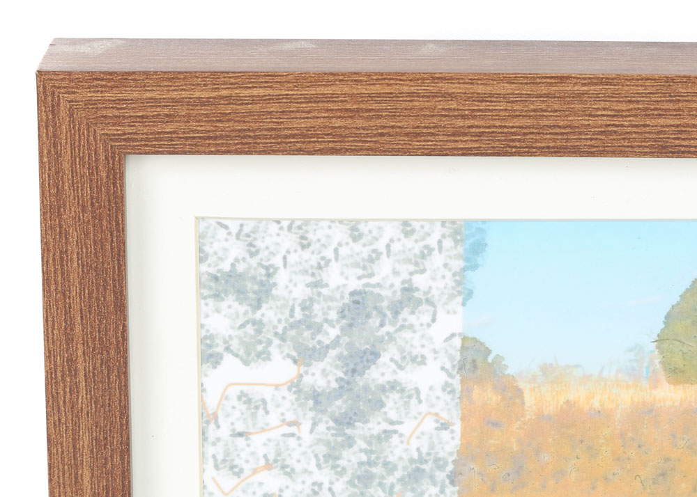 Lib Willard App-Enhanced Photograph "Field"