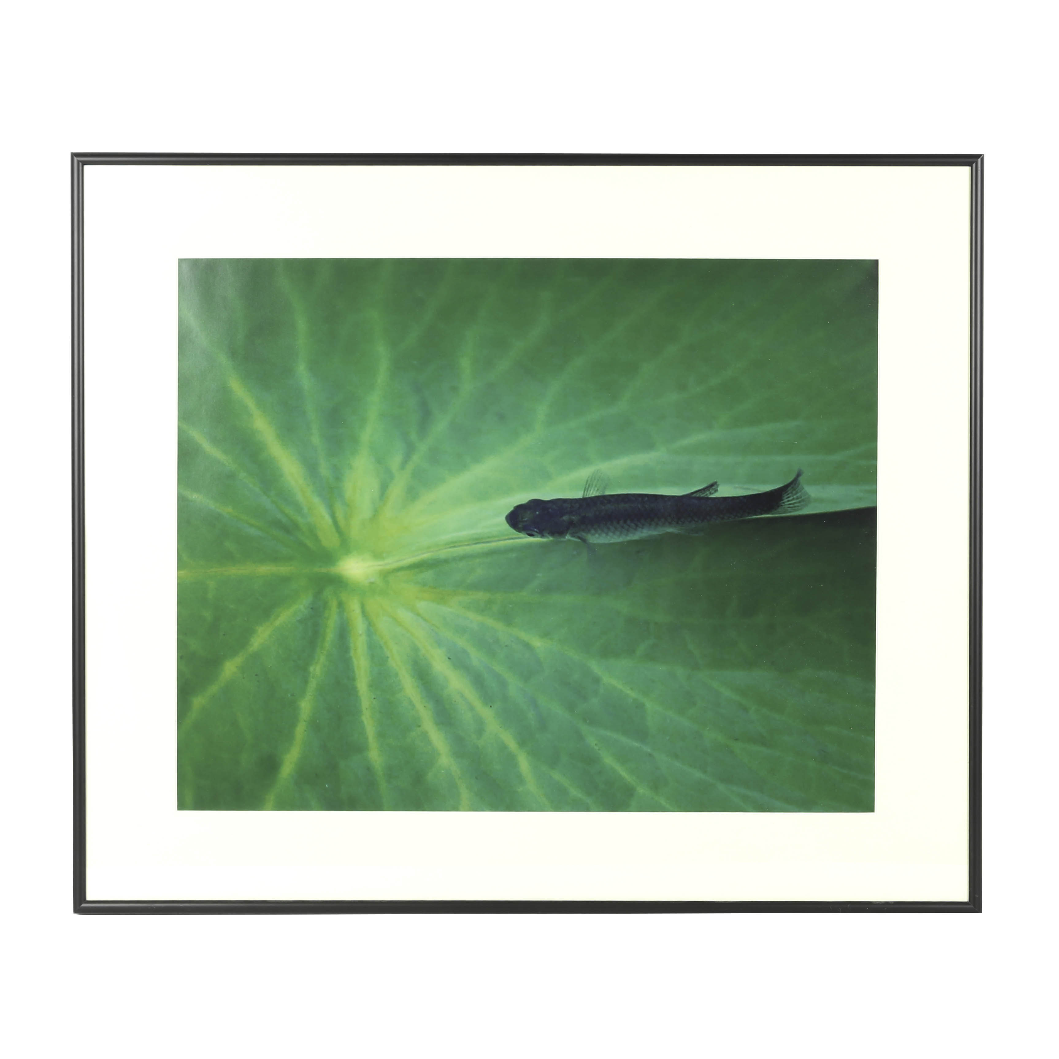 Catherine Holt Original Photograph