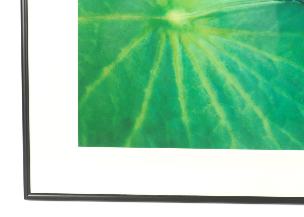 Catherine Holt Original Photograph