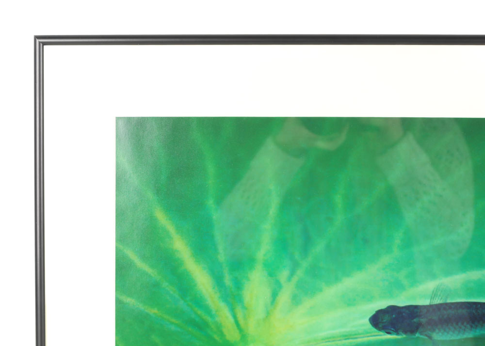 Catherine Holt Original Photograph